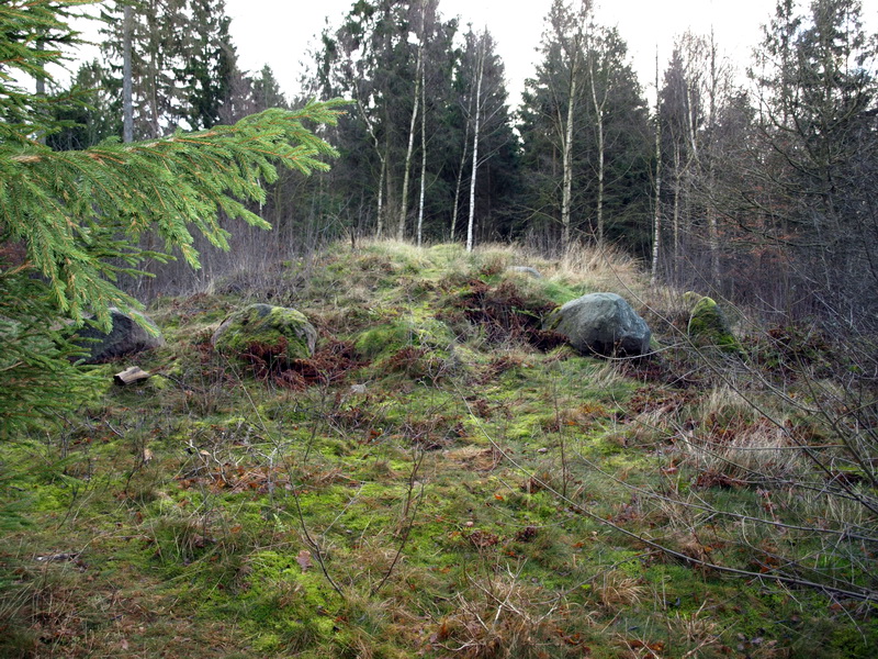 Ravnsholt Langdysse