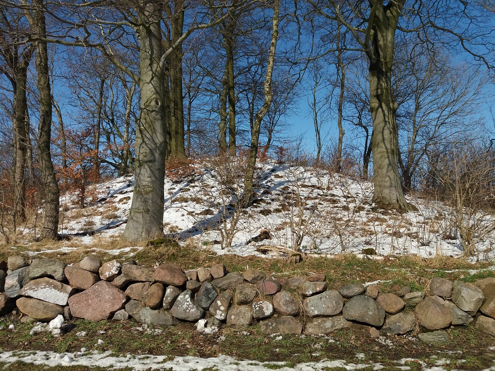 Click for the gallery page to add comments and vote (PID:179947) Sjælhøj Nyker Rundhøj