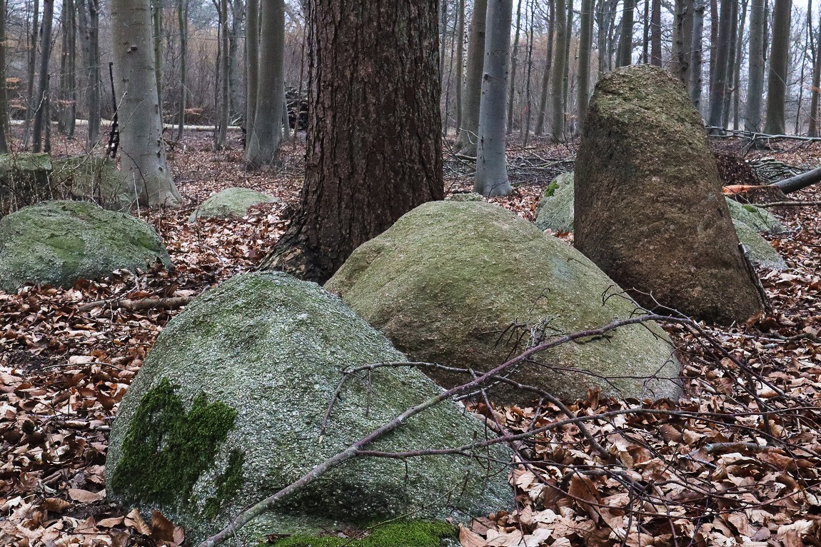Click for the gallery page to add comments and vote (PID:229026) Fiskebæk Skov Langdysse 1