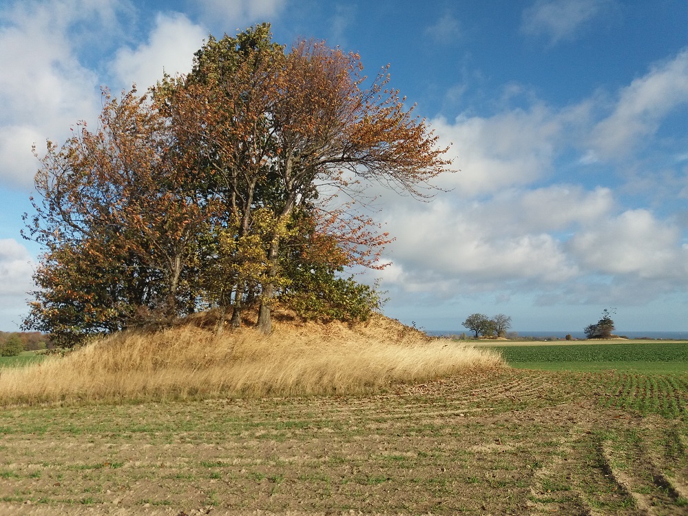 Højevejen Kanonhøjen
In the background you can see the other two burial mounds Bavnehøj & Sønderhøj and the beautiful Baltic Sea.

Photo by Bøddel / October 2018
