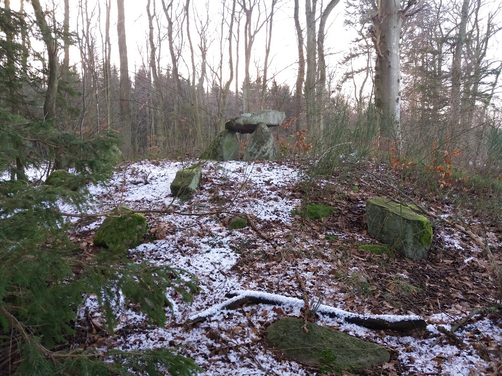Click for the gallery page to add comments and vote (PID:193451) Rødehøj Gravrøse