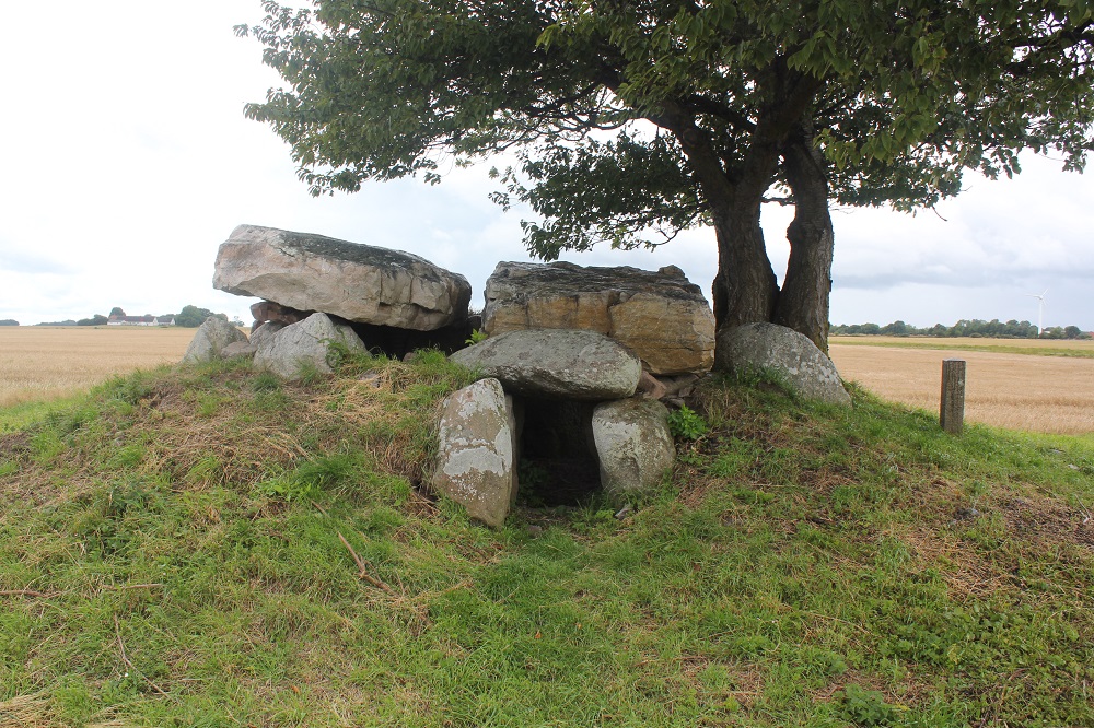 Click for the gallery page to add comments and vote (PID:137569) Stenseby Bønnestenene Jættestue 2