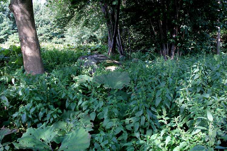 Priorskov Langdysse 2