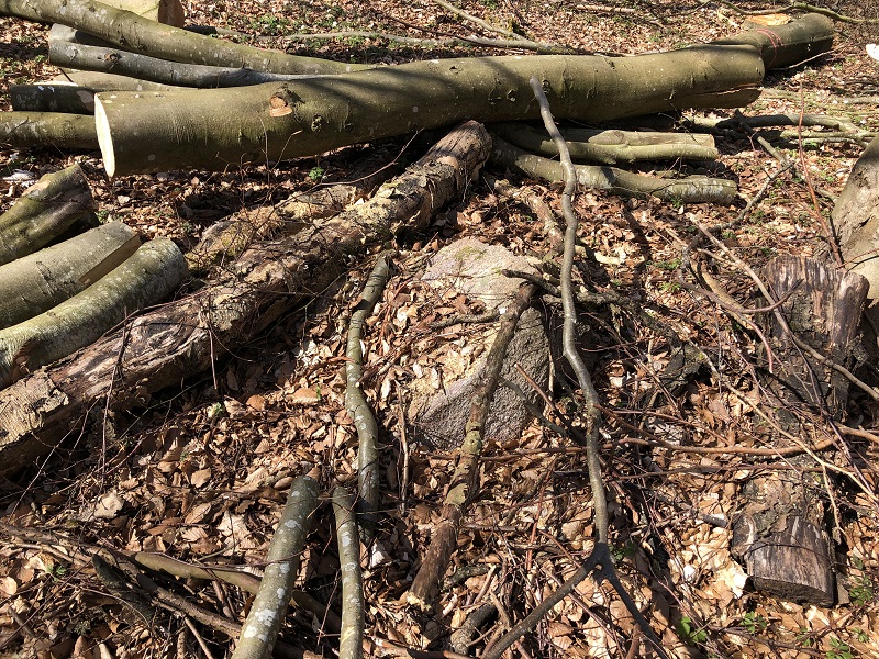 Sorø Sønderskov Megalitgrav 1