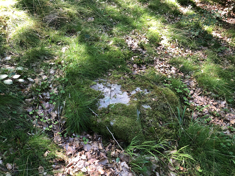 Stenholtsvang Langdysse