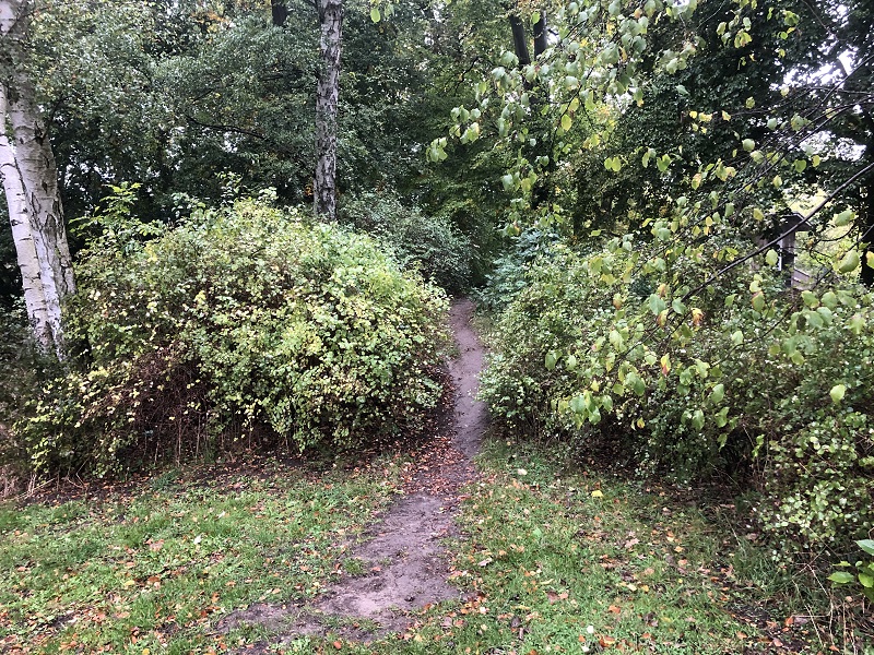 Bellahøj Park Gravhøj 4