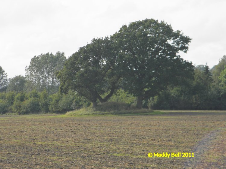 Click for the gallery page to add comments and vote (PID:84168) Skaelskoer Rundhøj