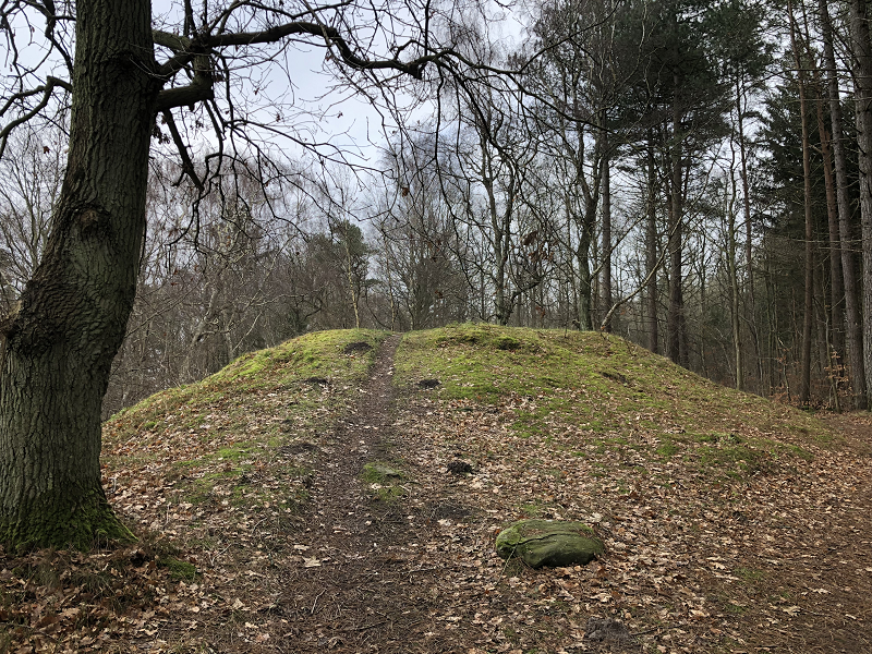 Hornbæk Plantage Rundhøj 2