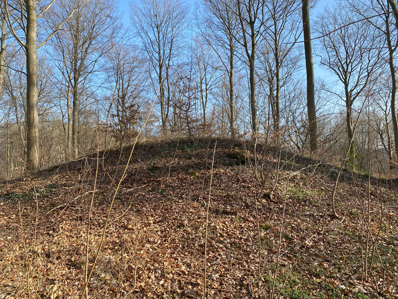 Trørød Skov Rundhøj 4