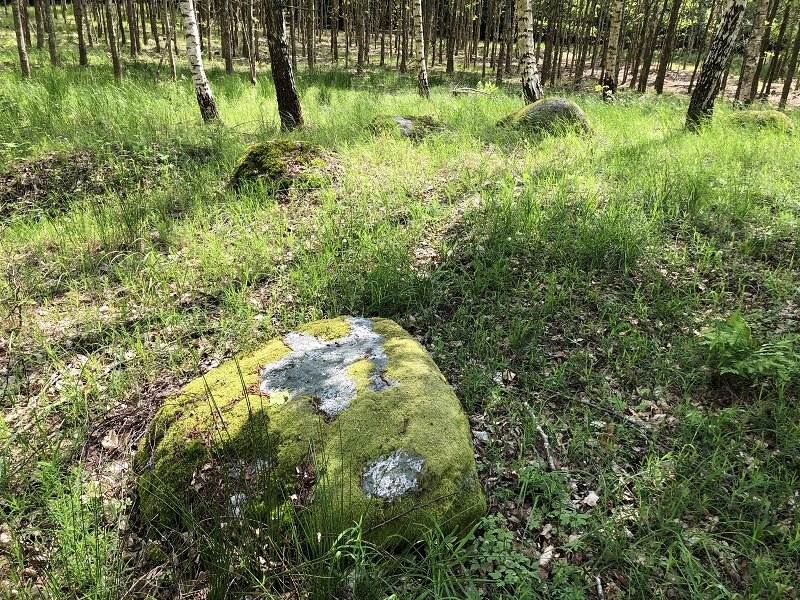 Sorø Sønderskov Rundhøj