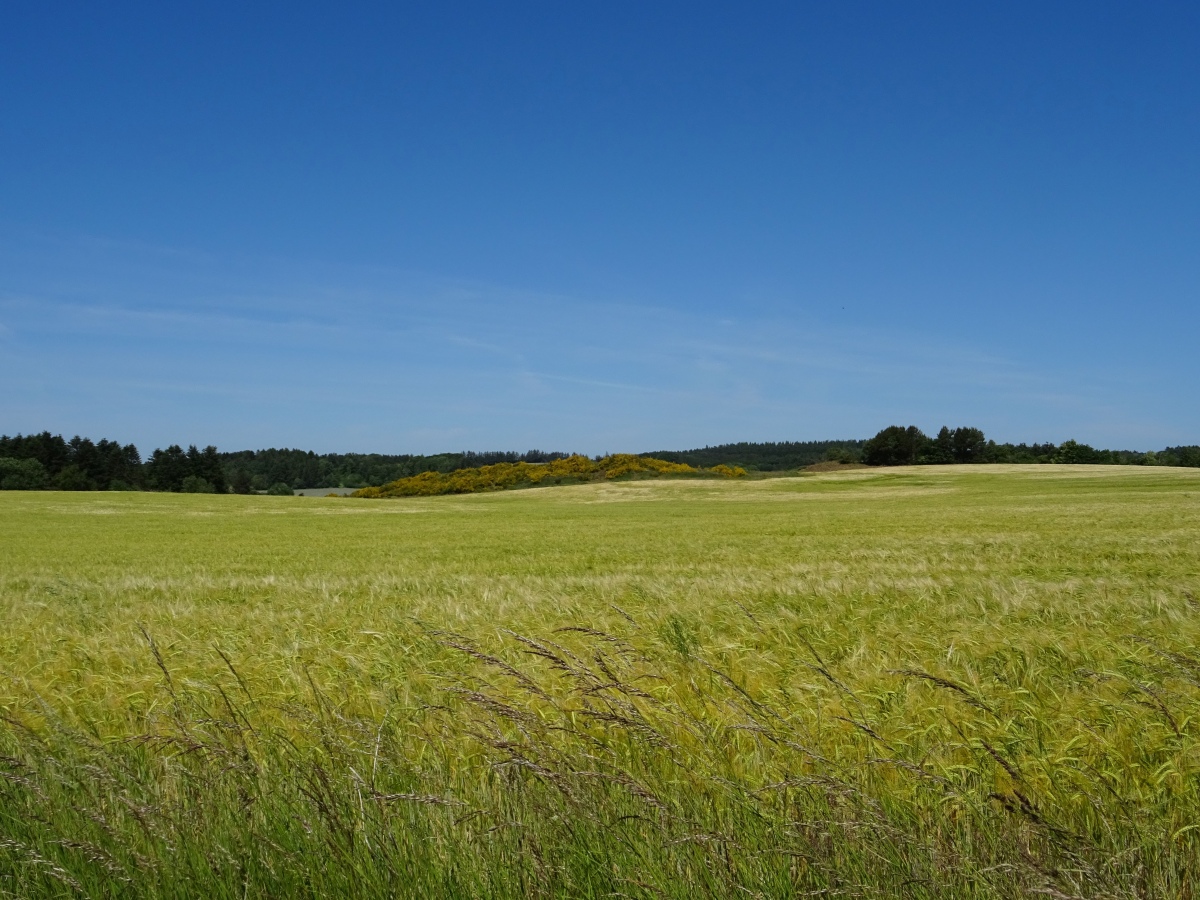 Click for the gallery page to add comments and vote (PID:262946) Vester Præstegård Langdysse