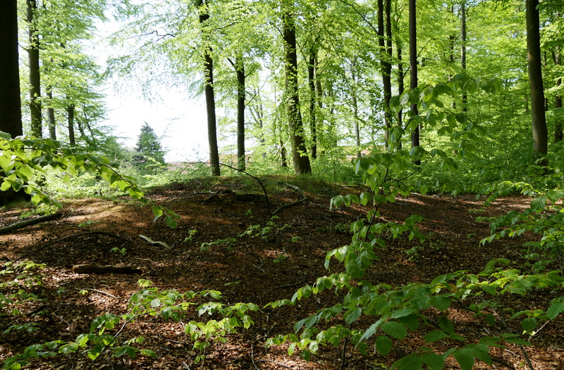 Bistrup Hegn Langdysse 1