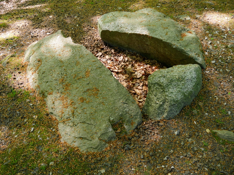 Bistrup Hegn Langdysse 2