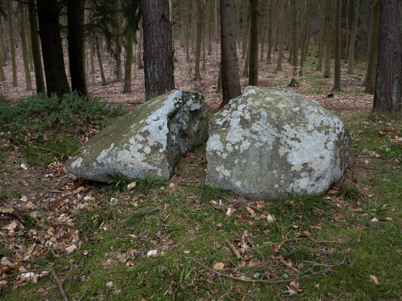 Hornbæk Plantage Langdysse 1
