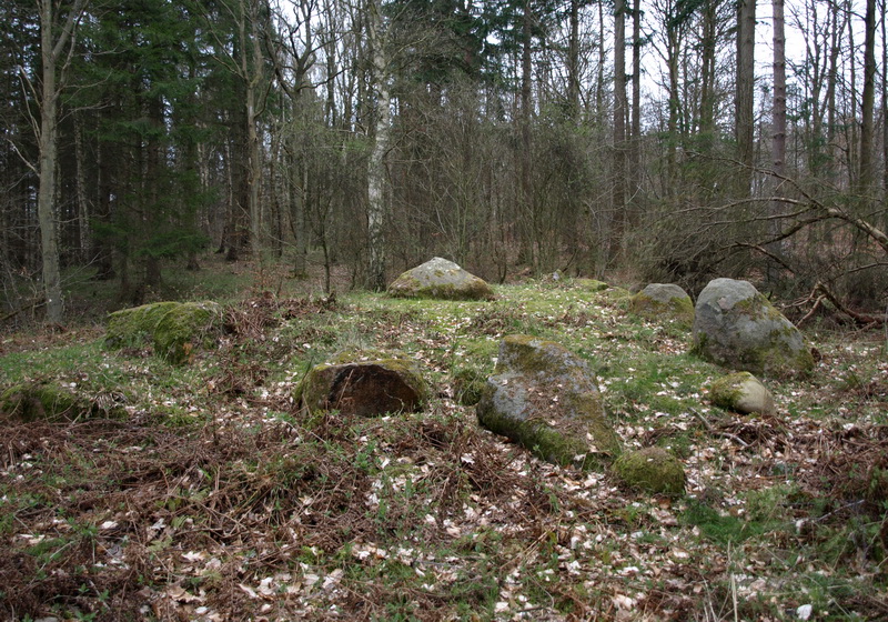 Hornbæk Plantage Langdysse 2