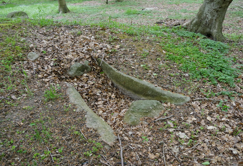 Ryget Skov Langdysse