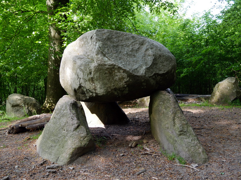 Ryget Skov Runddysse 2