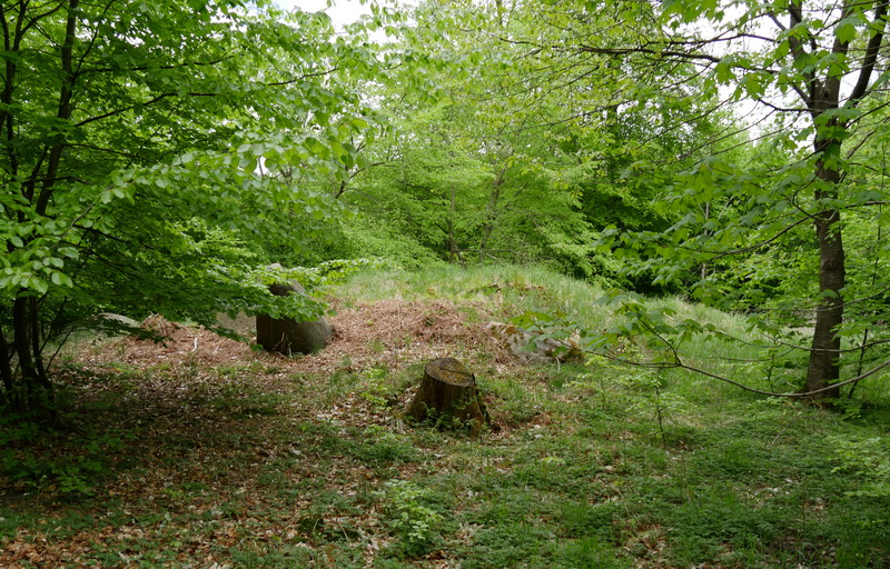 Nørreskov Langdysse 2