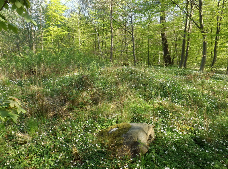 Site in København Denmark

