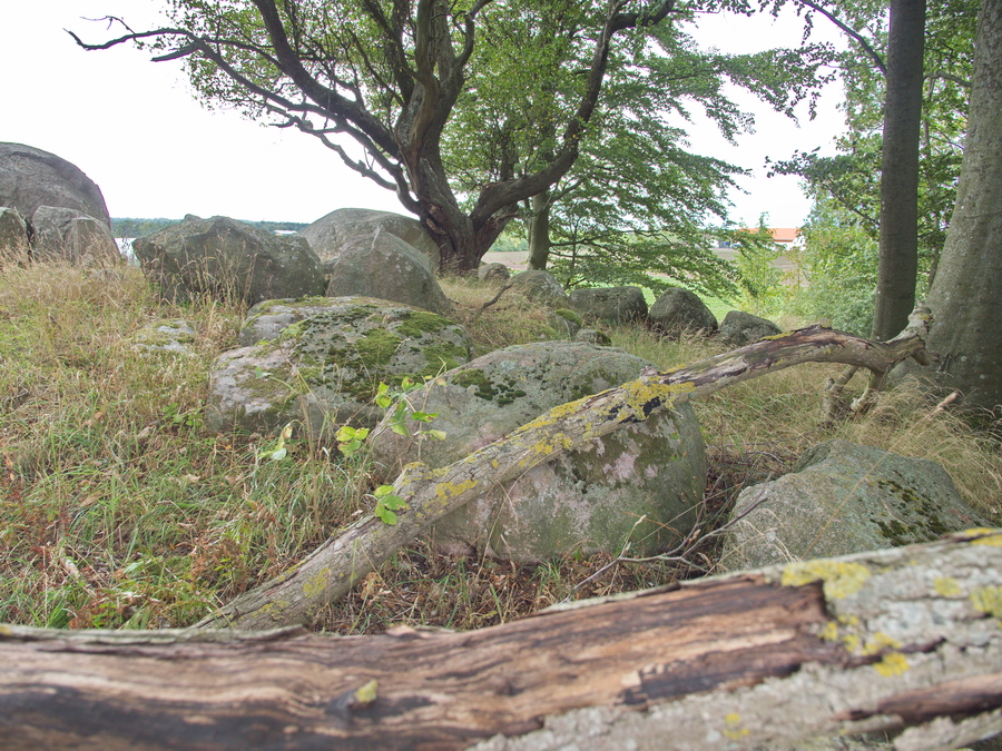 Rishøj Langdysse Northern passage grave to the right. Southern passage grave to the left, and the Eastern passage grave in the middle , slightly retracted compared to the two other passage graves.