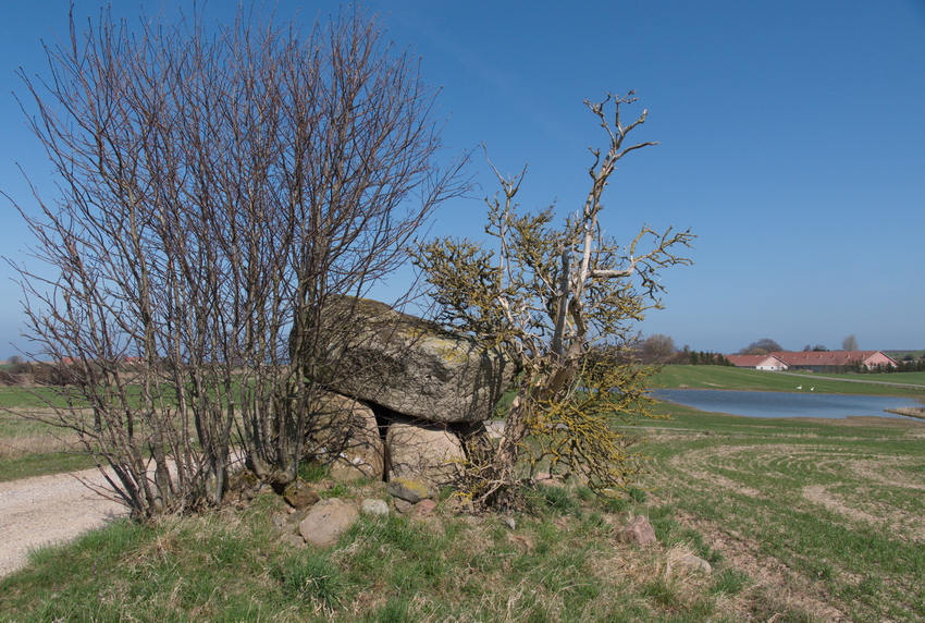 Click for the gallery page to add comments and vote (PID:180466) Kallerup Svannæsdysse