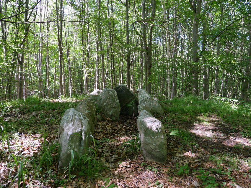 Odstrupdyssen Runddysse