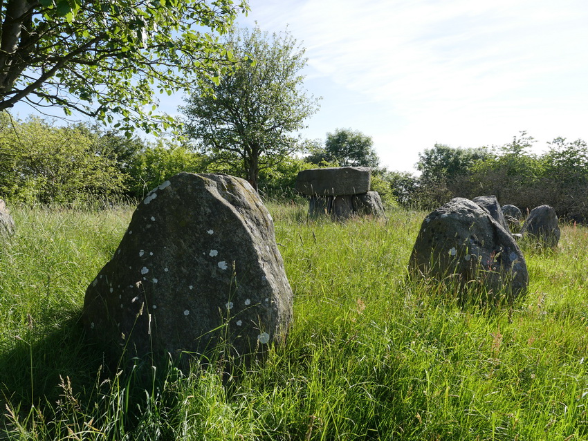 Vig Rolandshøj Langdysse [Femhøvene] Long Barrow : The Megalithic ...