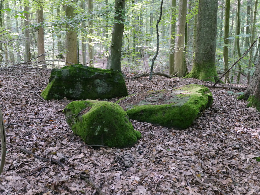Bjergstedskoven Runddysse 1