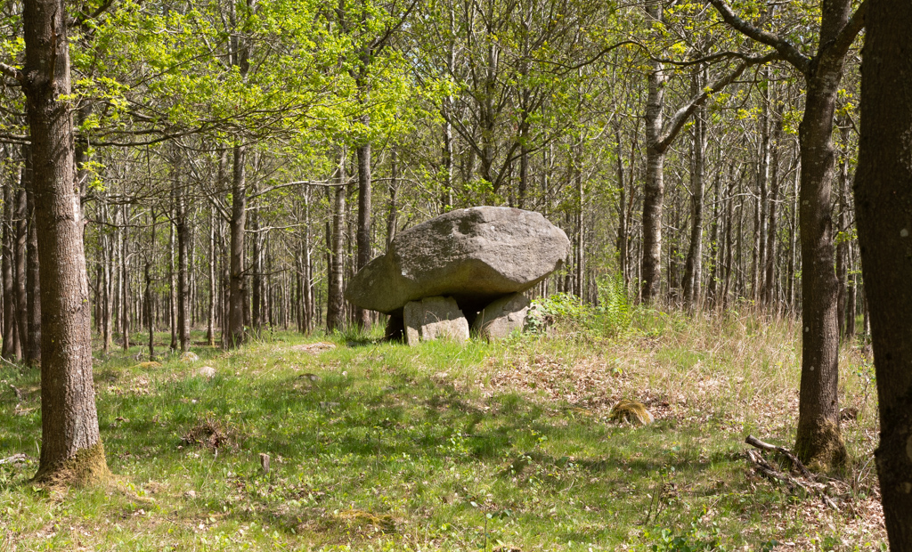 Store Møsten Skov Runddysse