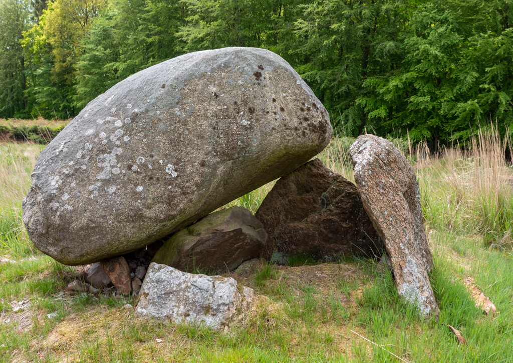 Delhoved Skov Megalitgrav