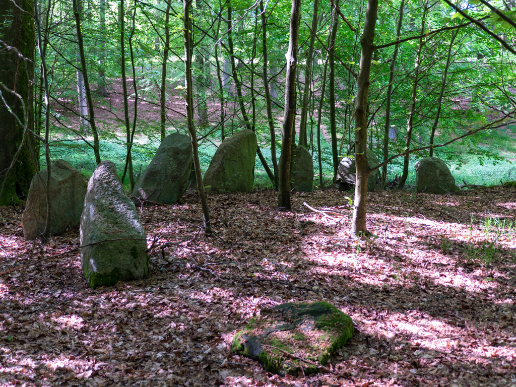 Tornved Skov Langdysse