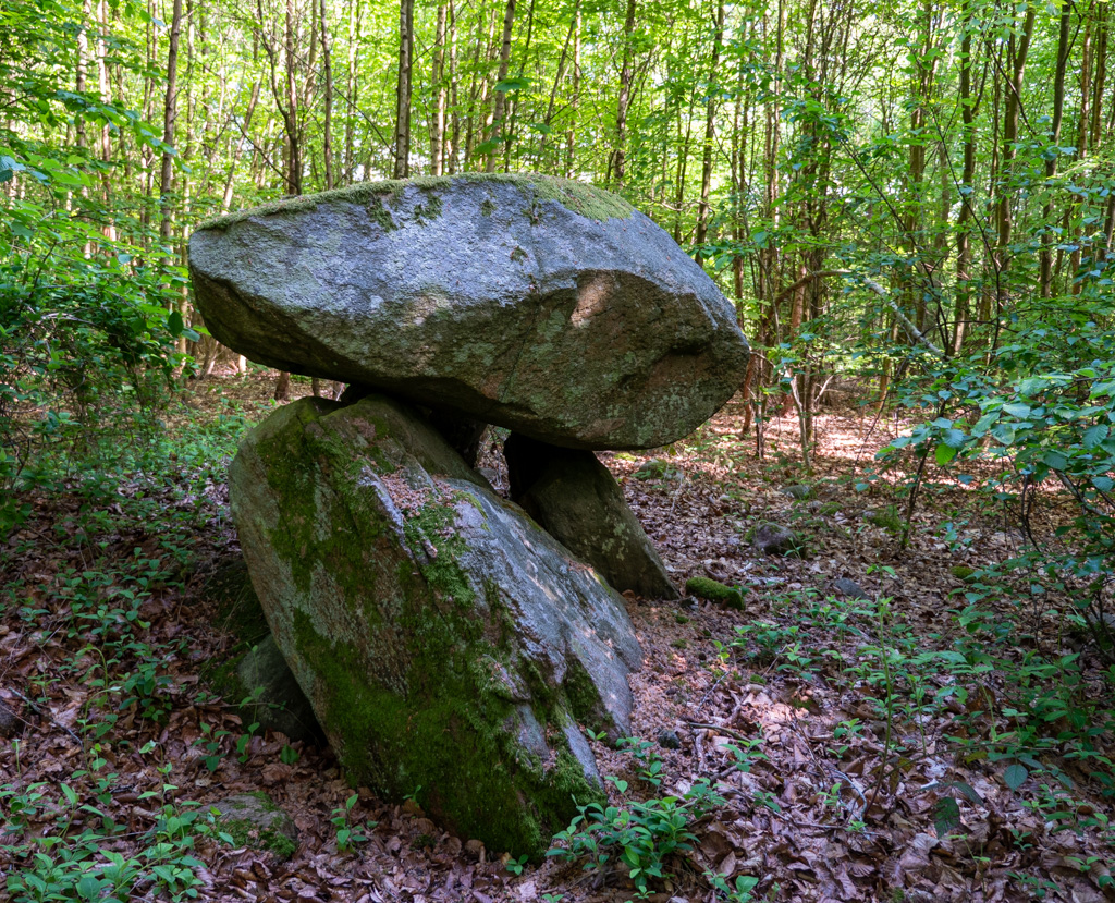 Tornved Megalitgrav