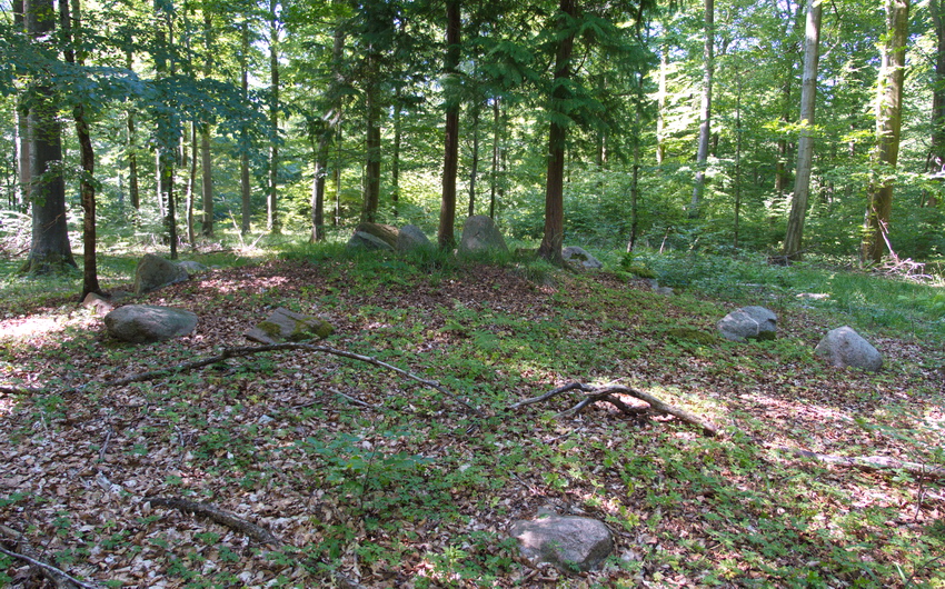 Click for the gallery page to add comments and vote (PID:182653) Alsted Skov Runddysse 2