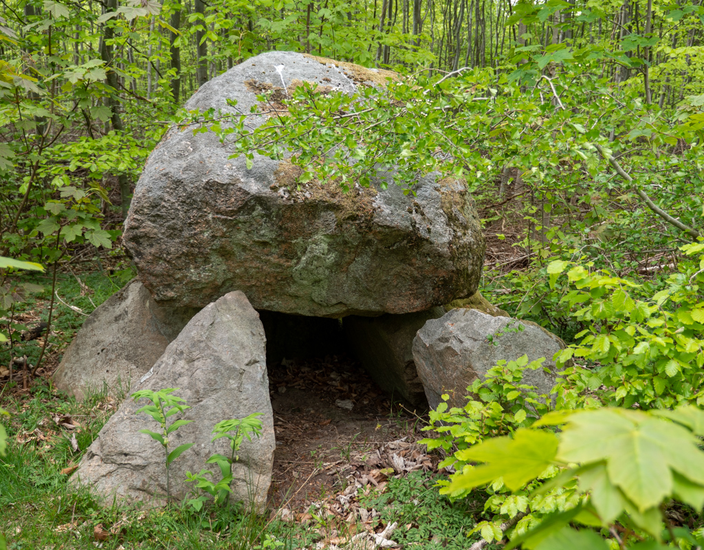 Lille Bøgeskov Runddysse