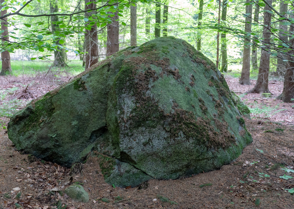 Lille Bøgeskov Megalitgrav