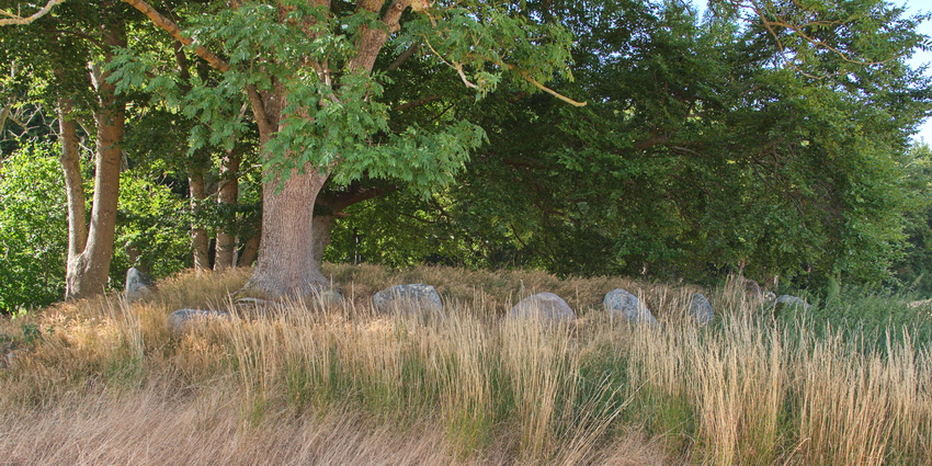 Click for the gallery page to add comments and vote (PID:183821) Gyrstinge Langdysse