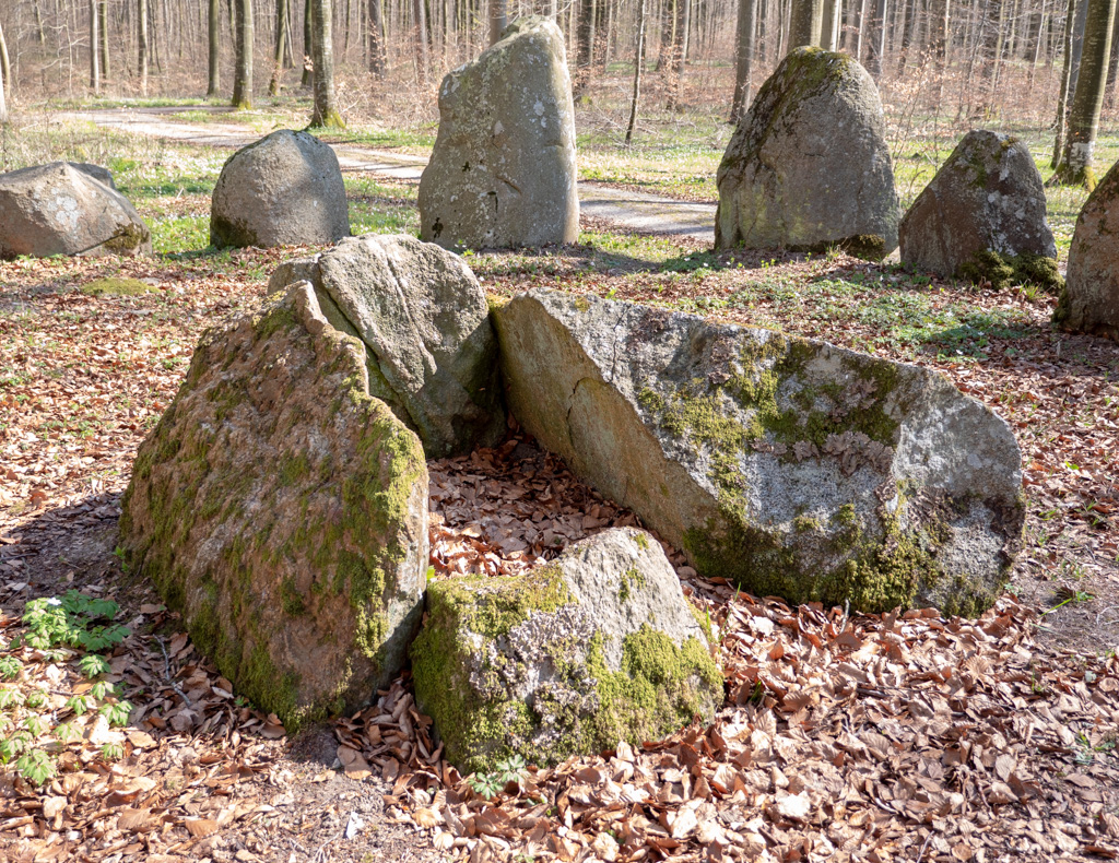 Click for the gallery page to add comments and vote (PID:196294) Store Bøgeskov Langdysse 1