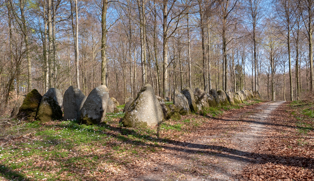 Click for the gallery page to add comments and vote (PID:196291) Store Bøgeskov Langdysse 1