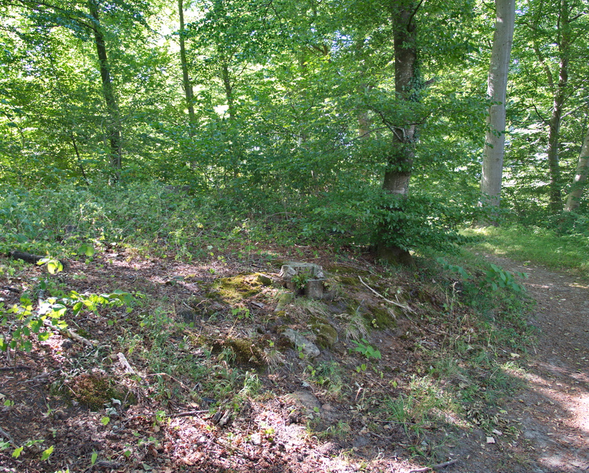 Store Bøgeskov Runddysse 1