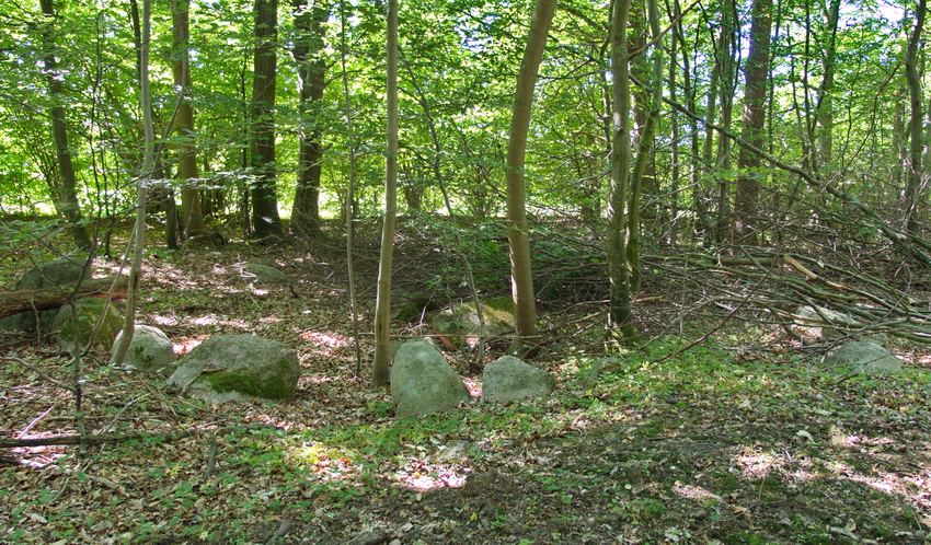 Click for the gallery page to add comments and vote (PID:182655) Alsted Skov Runddysse 1