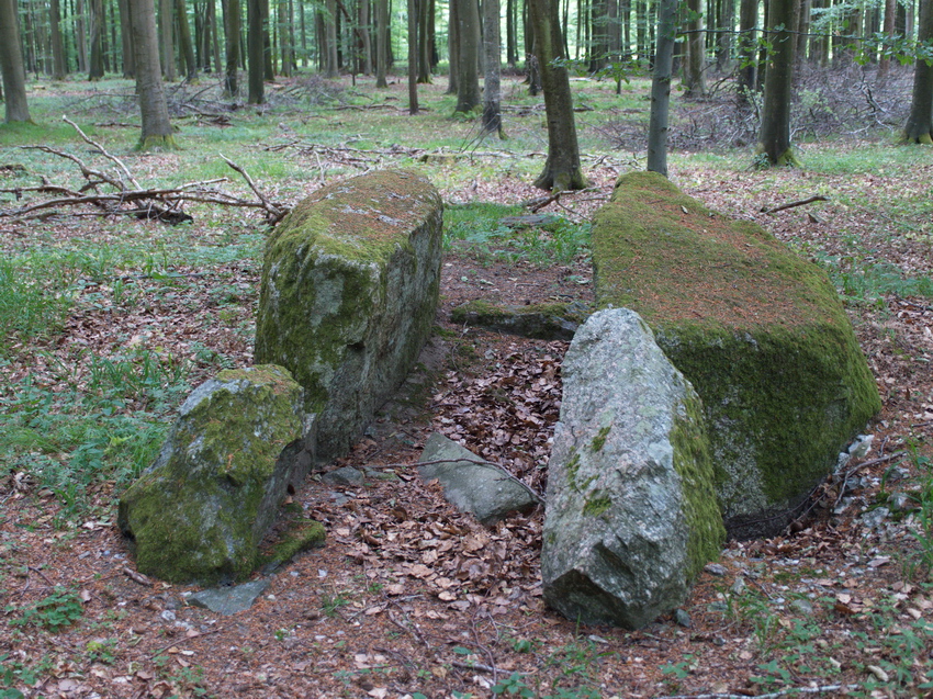 Broby Vesterskov Runddysse 5