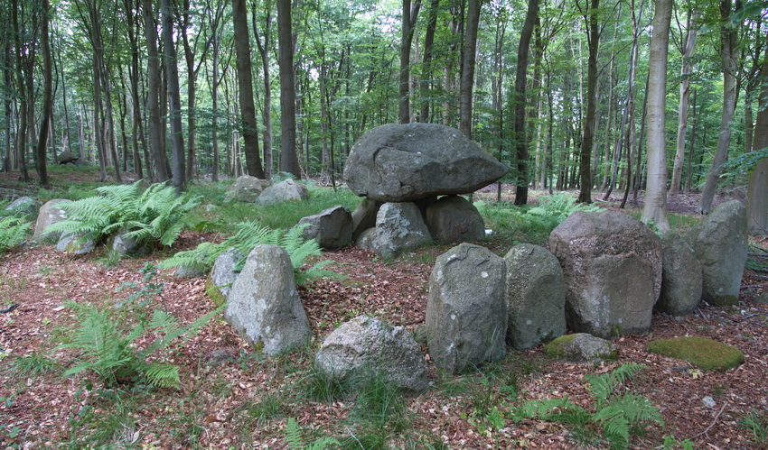 Broby Vesterskov Langdysse 4