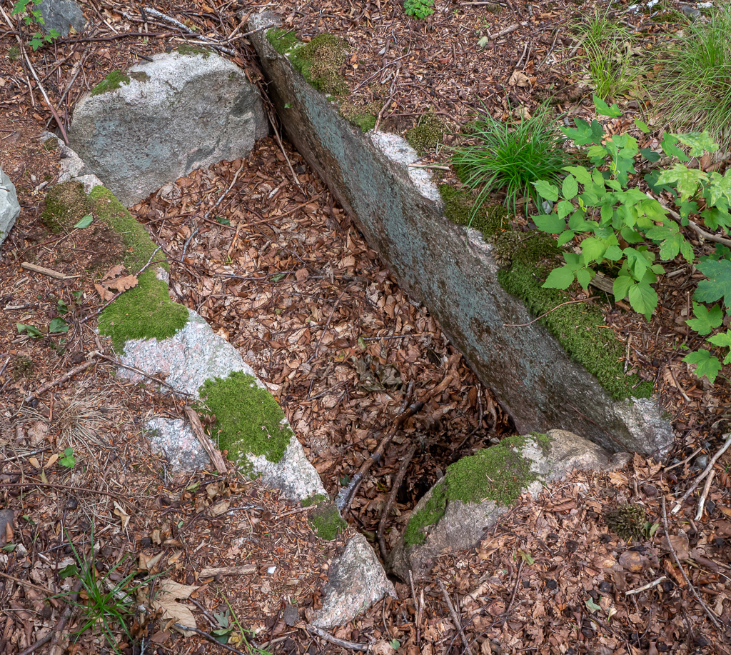 Bonderup Skov Langdysse 1