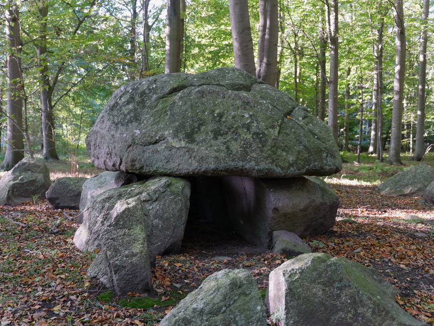 Knudsby Skov Langdysse 1