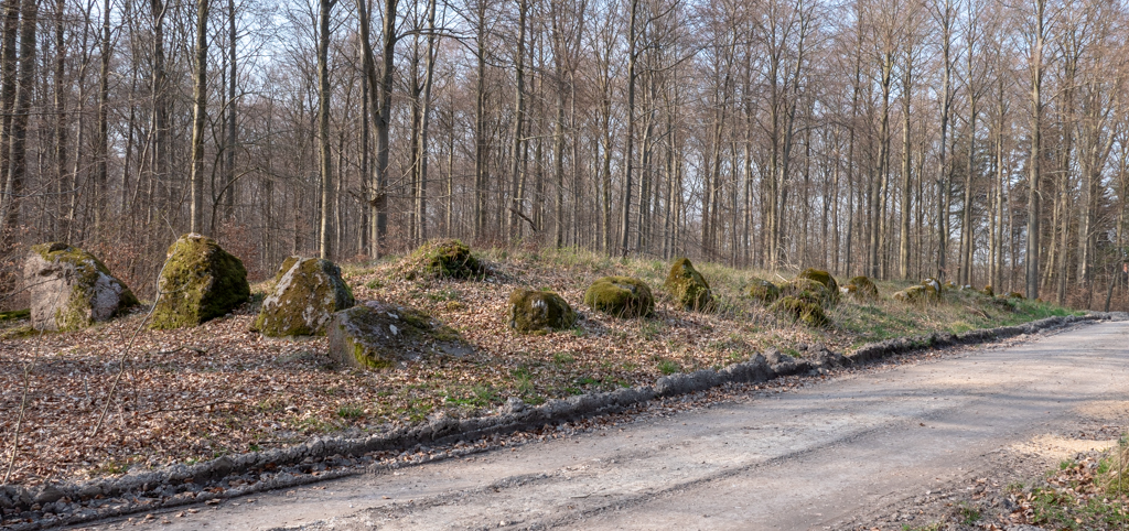 Click for the gallery page to add comments and vote (PID:195765) Stubberup Skov Junkershøj Langdysse