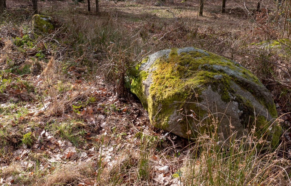 Glumsø Østerskov Runddysse 1