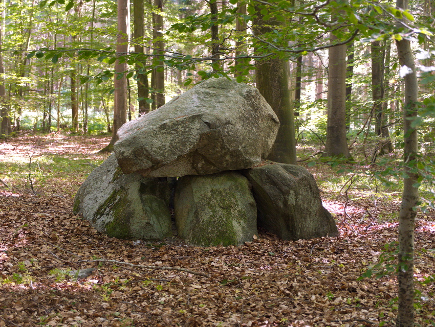 Glumsø Østerskov Runddysse 2