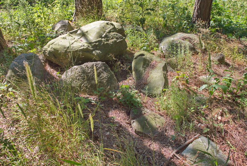Glumsø Østerskov Megalitgrav