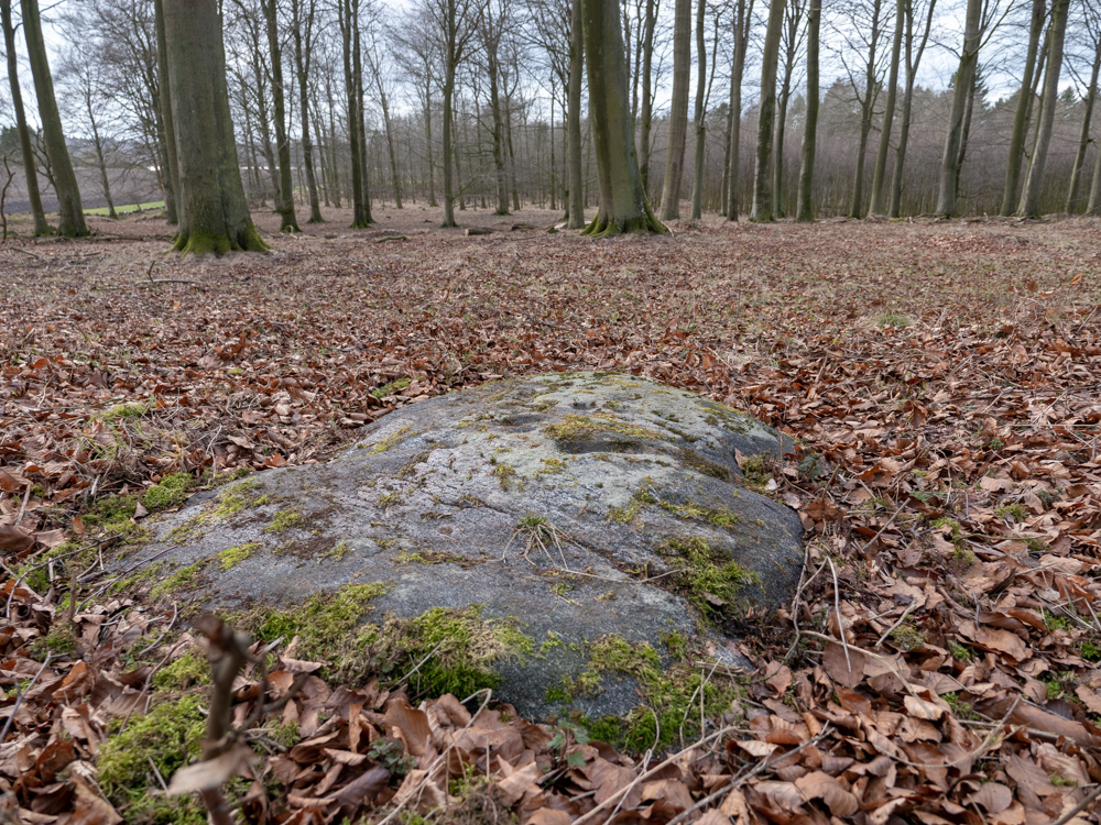 Næsbyholm Storskov skåltegn