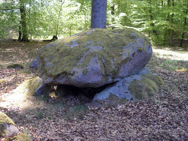 Horserød Hegn Langdysse 1